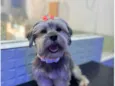 Mel
