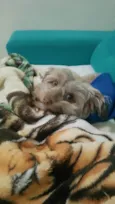 Bolt