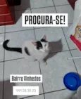 Jubi