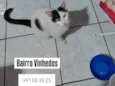 Jubi