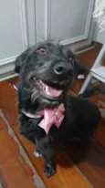 Cacau