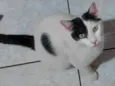 Jubi