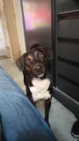 MARLEY