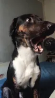 MARLEY
