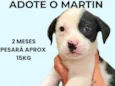 Martin