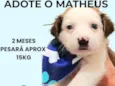 Matheus