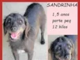Sandrinha