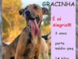 Gracinha