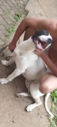 Sultão