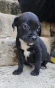 Marcos