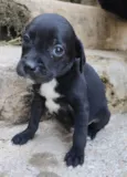 Marcos