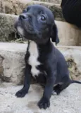 Marcos