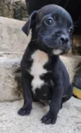Marcos