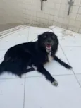 Bella