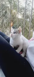 Baby