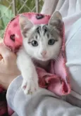 Baby