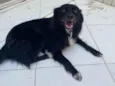 Bella