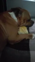 Thaninhos