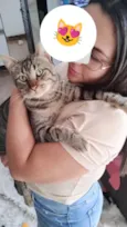 Nenzinho