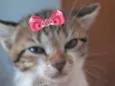 Mia