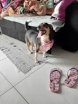 Nina