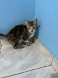 Madinbu