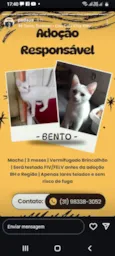 Bento