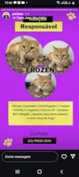FROZEN