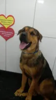 kiara
