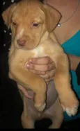 BEBÊ
