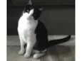Bebê