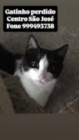 Bebê