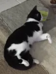 Bebê