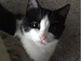 Bebê