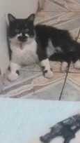 Tom