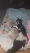 Tom