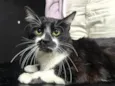 Tom