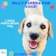 Billy