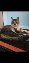 Nick