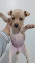 Caramela