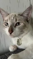 Pétala 