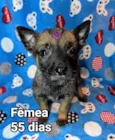Nala