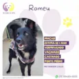 Romeu