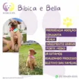 Bibica e Bella