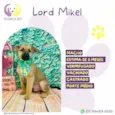 Lord Mikel