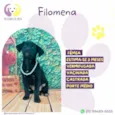Filomena
