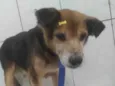 Kiko