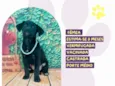 Filomena