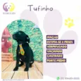 Tufinho