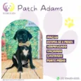 Patch Adams